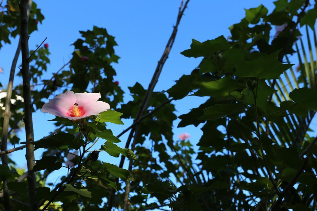 The Hideaway Hotel Samara Ngoại thất bức ảnh